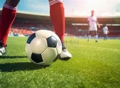 胡歌澄清与,王家卫合作,无目的传闻,好博体育官网,APP下载,注册领彩金,官方网站,网站入口