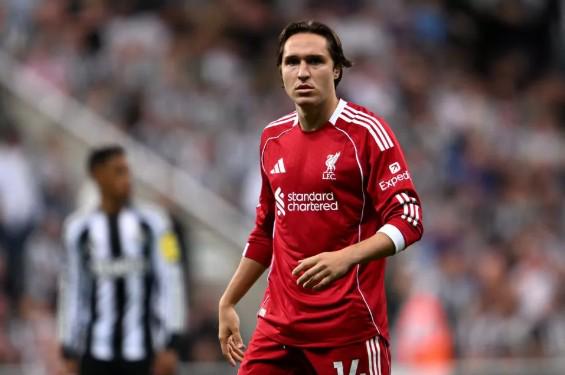 维尼修斯拒,绝沙特高薪,邀请,好博体育官网,APP下载,注册领彩金,官方网站,网站入口